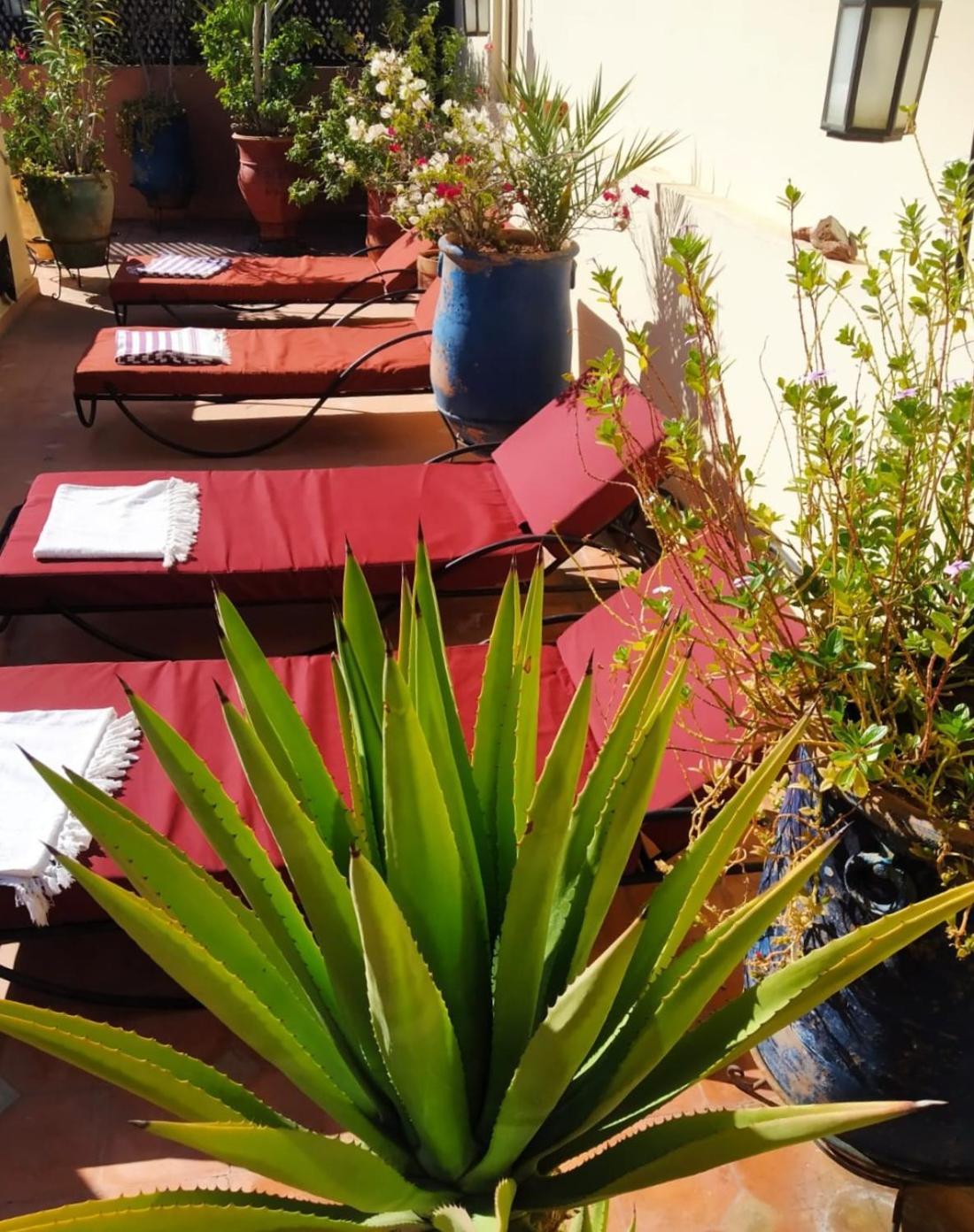 Riad Dar Zampa Marrakesh Exterior photo